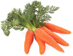Vision PRM – Carrot Image